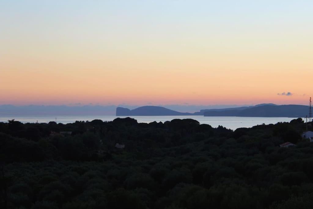 Villa Boeddu, Relax Tra Mare E Campagna Альгеро Экстерьер фото